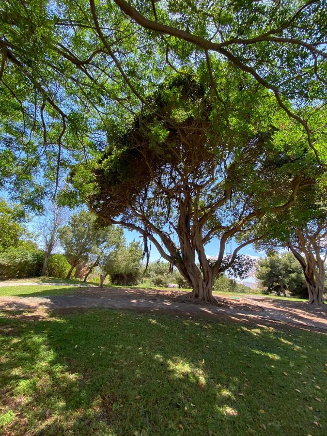 Apt Con Espectacular Vista, Piscinas, Recep 24 Hs بينالماذينا المظهر الخارجي الصورة
